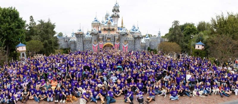 Bora Web Cover Banner (1)