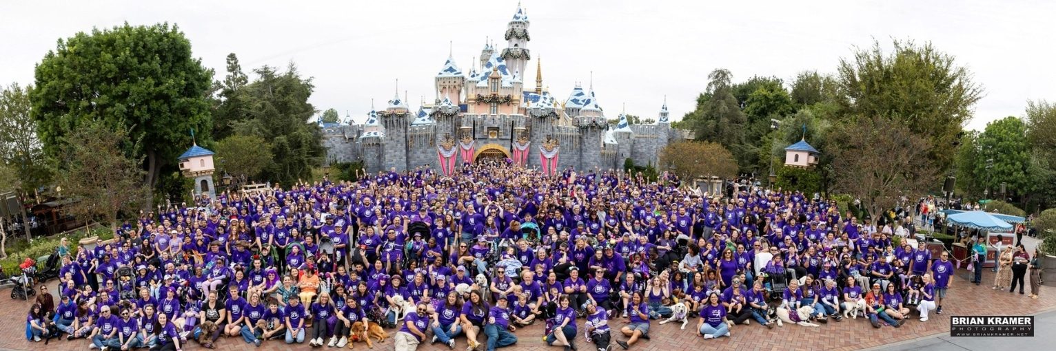 Bora Web Cover Banner (1)