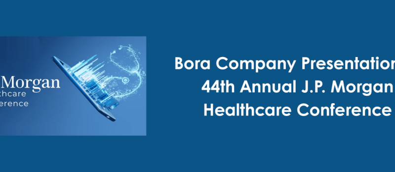 Bora Web Cover Banner