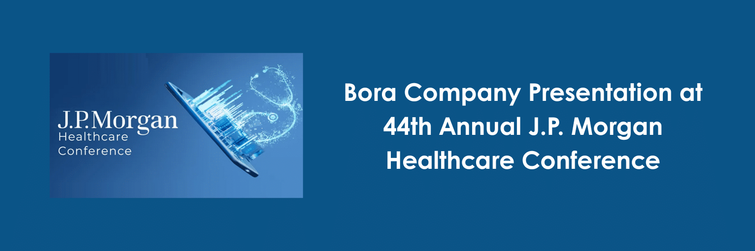 Bora Web Cover Banner